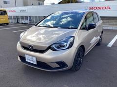 フィット ホーム20周年特別仕様車メゾン Rカメ セキュリティーアラーム スマートキーシステム ドラレコ LEDヘッドランプ フルセグ 衝突被害軽減システム サイドカーテンエアバック Wエアバック ETC 中古車画像