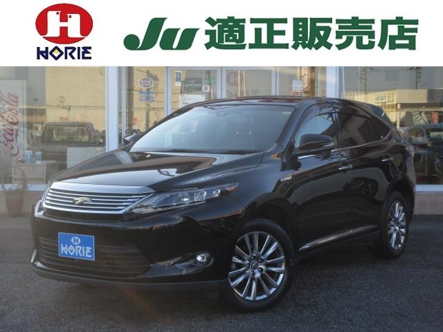 ȥ西 ϥꥢϥ֥å ץߥࡡʥӡե륻