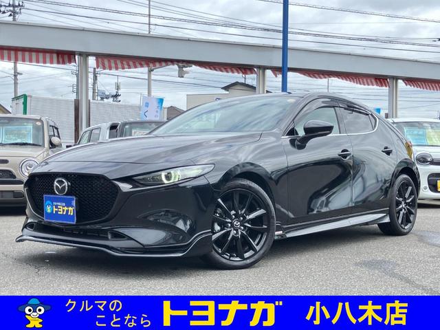 LEDライト!フロアマット!サイドバイザー!ナビ! TV!360度モニター!オートエグゼエアロ!BOSEサウンド!ETC!