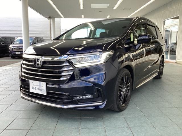 ǥå ֥롼ȡţءݥȥҡݥݡХå˥ 0401814A30251206W006 1