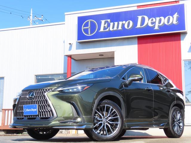 mw(NTX) mwRTOukvorq}Nr`p[N@lGA@@vorq@}Nr@pmu@`p[N@ojra@arl@gtc@hsr@`gr@c~@։ԁ@cR[_@ȓdq[^@`bPTOOv@n@[tq@Rkdc@fX^GA Îԉ摜