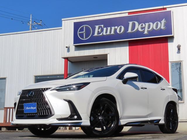 Φġر֣ԣ֥ѡĥ쥳롼գ ףУӣҡѥΥ֡ĥߥ顡ưȡƱǥ 1