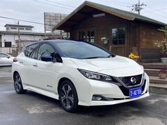 日産　リーフ　Ｇ　プロパイロット　衝突軽減ブレーキ　アラウンドビューモニター