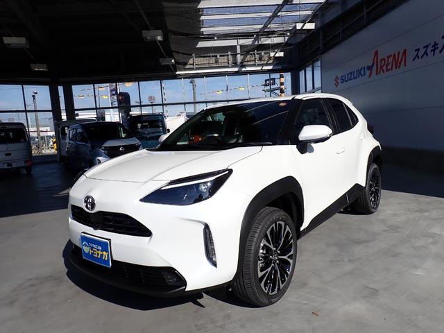 ȥ西 ꥹ ϥ֥åɣڡǥץ쥤ǥʥӡƥ