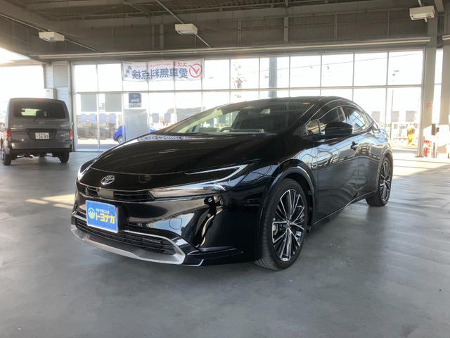 ȥ西 ץꥦ ڡȥ西ʥӡ̥˥ӥȥ󣲡ţԣ