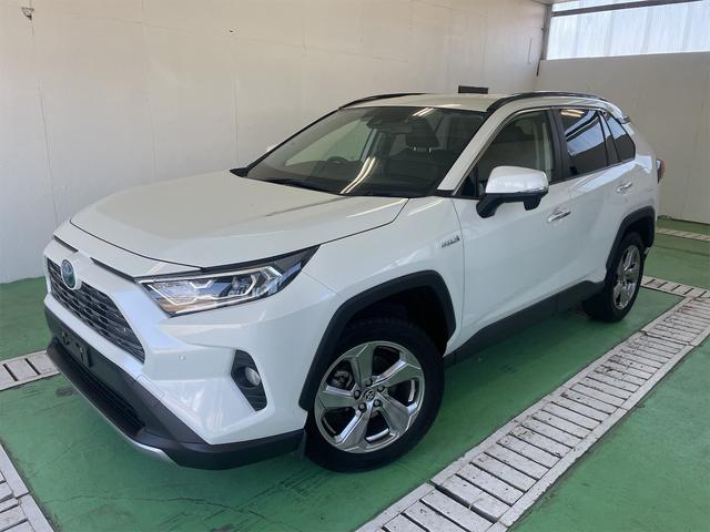 ＲＡＶ４ ハイブリッドＧ　パワーバックドア　ステアリングヒーター　レーダークルーズコントロール　シートヒーター　ＨＤＭＩ端子　アクセサリーソケット　ＥＴＣ　ブラインドスポットモニター