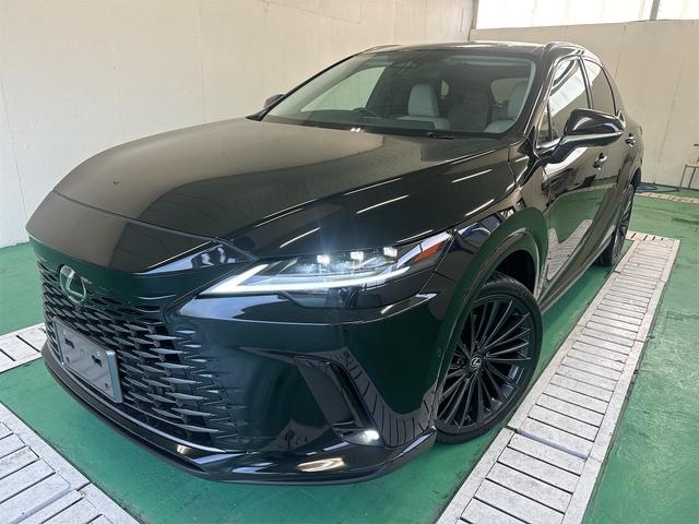 ＲＸ３５０　バージョンＬ　１４インチディスプレイオーディオ　パノラマルーフ　パノラミックビューモニター　ブラインドスポットモニター　おくだけ充電　デジタルインナーミラー　ヘッドアップディスプレイ