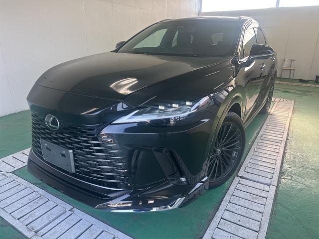 ＲＸ４５０ｈ＋　バージョンＬ　４ＷＤ　１４インチディスプレイオーディオ　パノラマルーフ　おくだけ充電　ヘッドアップディスプレイ　デジタルインナーミラー　ドライブレコーダー
