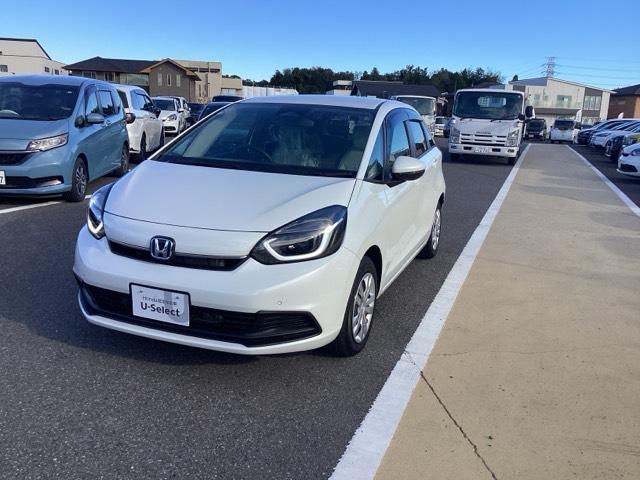 ۥ եå 塧ȣţ֥ۡࡡȯǽ꥽ʡʥХå