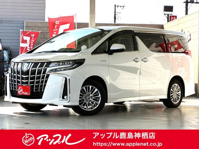 ʥբ²ǤΤФ䡢̣ιԤǡǤ 롼աưꥢȡޡȥưǼߥ顼ȥ 1