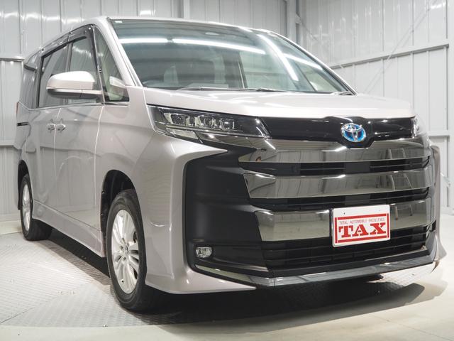 Ŭإѥåԡʥ˥ ʥӡեƥ󥹡ξ¦ư饤ɡϡե쥶 1