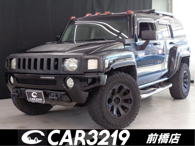 ϥޡ ϥޡȣ ʪ󥫡ơ륫ࡡ롼եå