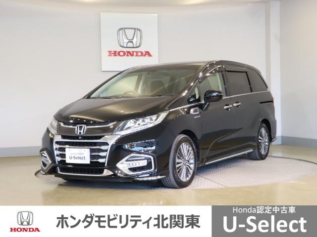 ۥ ǥåϥ֥å ϥ֥åɥ֥롼ȡţإۥ󥷥󥰡ﳲڸӡУץ