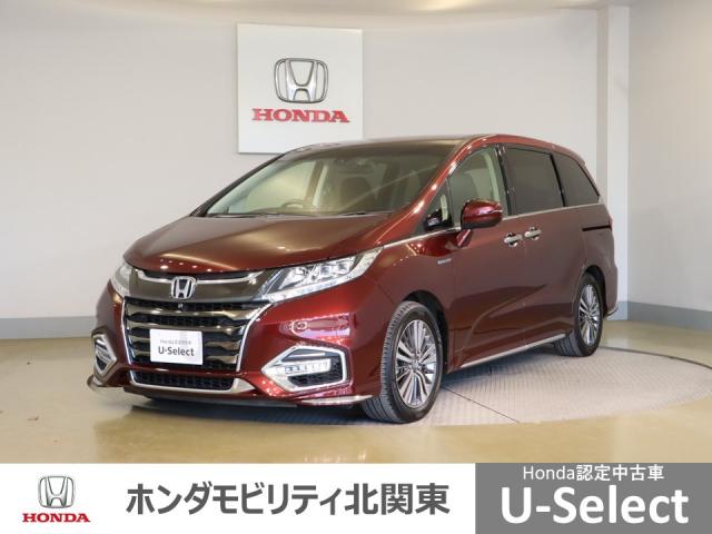 ۥ ǥåϥ֥å ϥ֥åɥ֥롼ȡţإۥ󥷥󥰡ﳲڸӡУץ