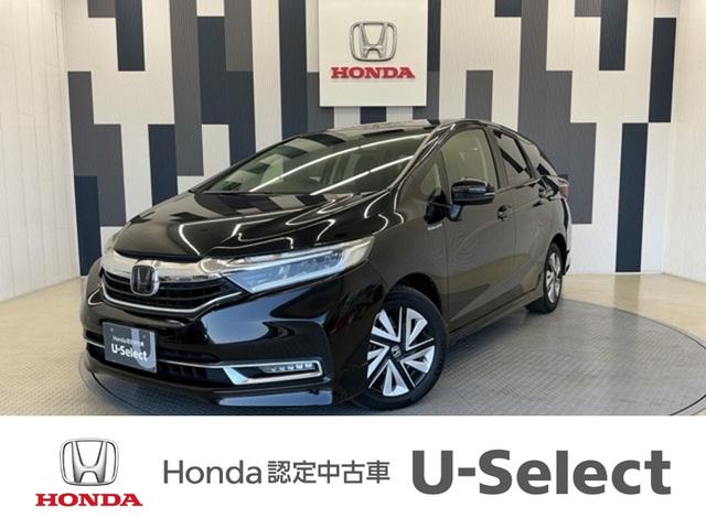 Vg(z_) nCubhwz_ZVO@z_F蒆Îԁ@kdcCg@ir@}@J@X}|gL|@Cr@suir@TChGAobO@V[gq[^[t@L[X@vGAR@cucĐ@\@dbnm@NR@dsb Îԉ摜