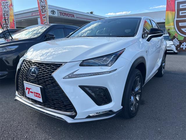 쥯 Σ Σأ衡ƥݡġɥ饤֥쥳ϥ