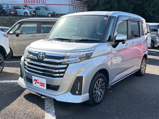 ȥ西 롼ߡ ǡɥ饤֥쥳ϥ顡ʥ