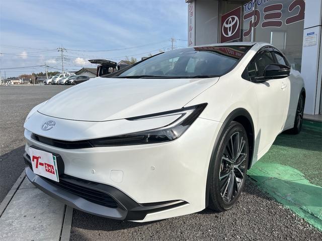 ȥ西 ץꥦ ǡꥢ󥹥ʡ졼󥢥ȡȥ롼ȥ