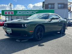 ダッジ　ダッジ・チャレンジャー　ＳＸＴ　ＳＸＴ　Ｆ８ＧＲＥＥＮ　サンルーフ