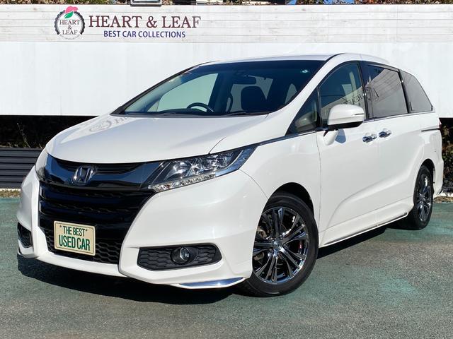 ۥ ǥå ֥롼ȡ襢˥С꡼ʥӡꥢʥ˥