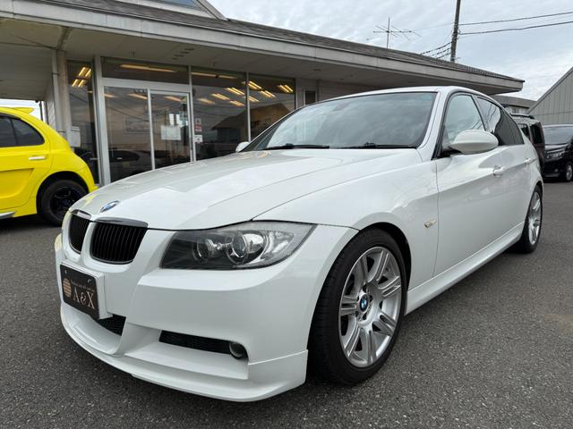 £ͣ ꡼ 顡ͥݡĥѥåסţԣ