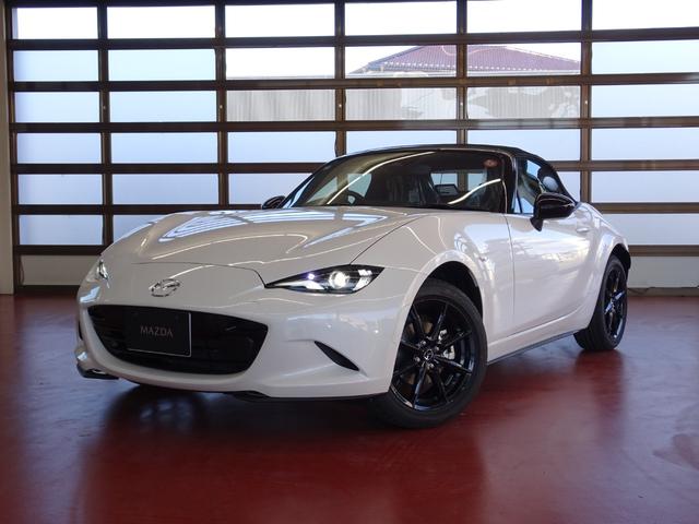 ɥ ӥڥѥåϿѤ̤Ѽ֡®ͣԡġ󥰥ѥå 0404201A30251126W001 1