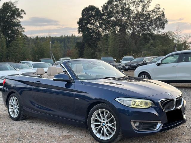 £ͣ ꡼ 饫֥ꥪ졡饰奢꡼ʥӡץå她