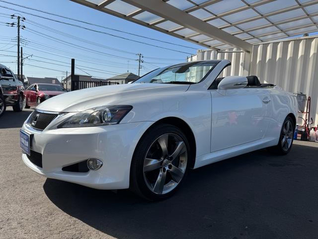 쥯 ɣ ɣӣáץȡߡʥ