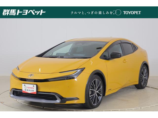 ȥ西 ץꥦ ڡףġﳲڸ֥졼ģʥ