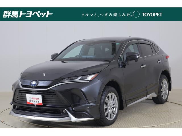 ȥ西 ϥꥢϥ֥å ǡףġǥꥹե륨ﳲڸ֥졼