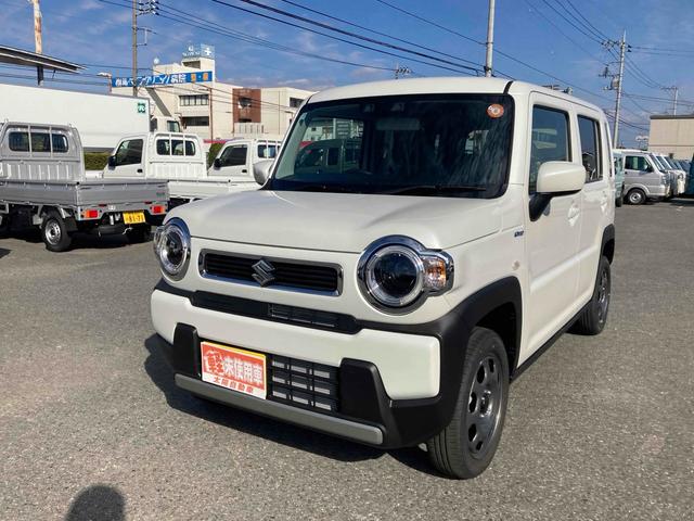  ϥ顼 ϥ֥åɣǡꥢ󥹥ʡȥ롼ȥ롡졼󥢥