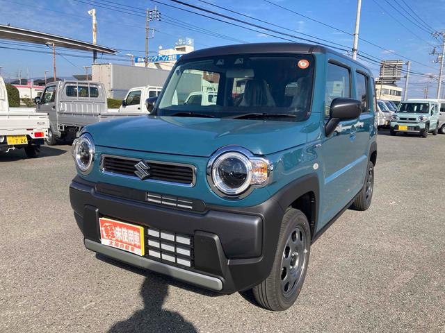  ϥ顼 ϥ֥åɣǡꥢ󥹥ʡ졼󥢥ȡﳲڸƥ