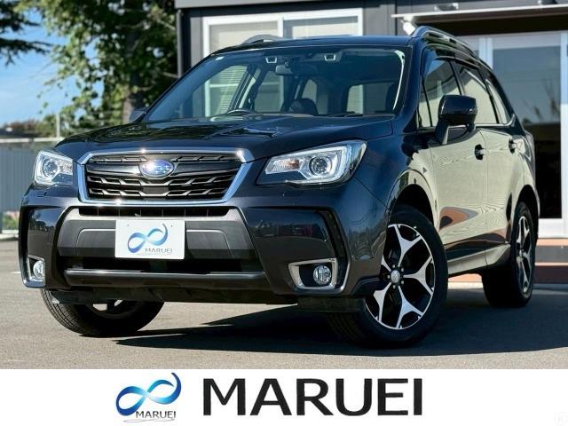 Х ե쥹 ӡݥߥƥåɡףġɥ饤֥쥳ţԣ