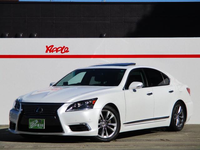 ͡롼ա쥶ȡʥӣԣ֡ţԣ ȥ顼Сѡۥ磻Ȥ˥ڥȿؼ 1