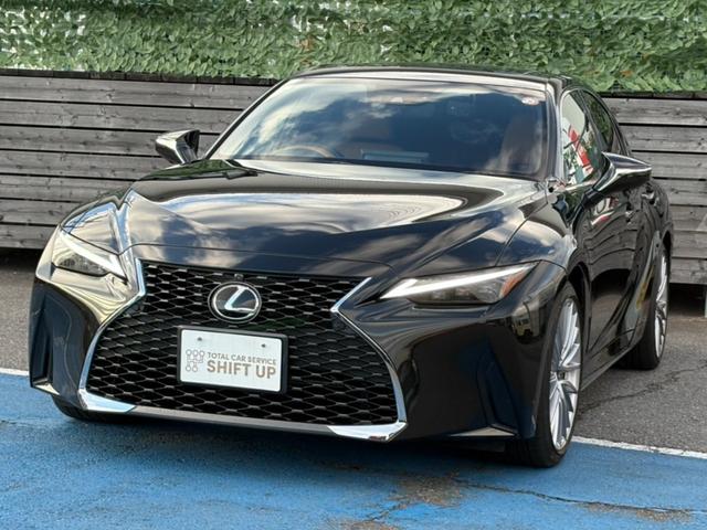 ɣ ɣӣ衡С̡ץƥ֥롼ȥ롡֥饤ɥݥåȥ˥ 0404648A30251207W001 1