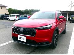 �ۥ�����������롡�塧�ȣţ֣ء��ϣХ���롡��������������ͥ��ȥʥӡ��Хå������