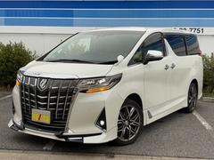 アルファードハイブリッド X 禁煙車 TRDエアロ レーダークルーズ 衝突軽減 車線逸脱警報 クリアランスソナー 両側パワースライド フリップダウンモニター 純正9型TV BTオーディオ CD/DVD再生 バックカメラ ETC 中古車画像