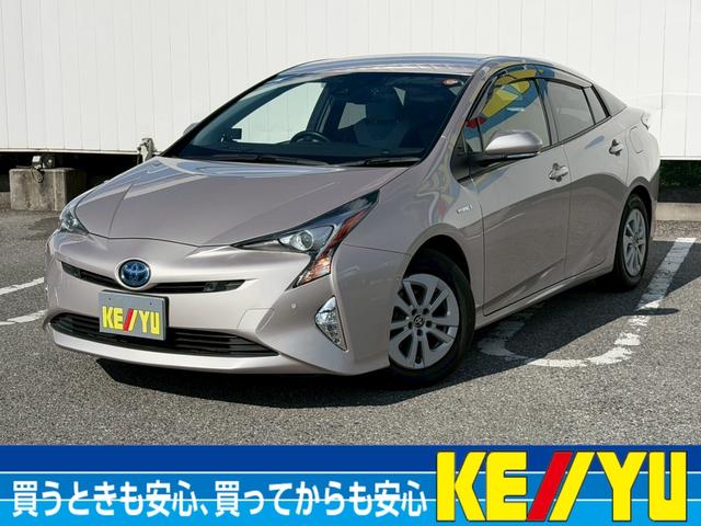 ȥ西 ץꥦ ӥեƥץ饹ر졡ʡɥ쥳