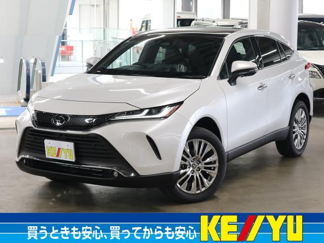 ߸ˣ桪饤̲ǽŸ ˤʤ뤪֤ϲ̲Ρֺ߸˳ǧ̵Ѥפ򥯥å 1