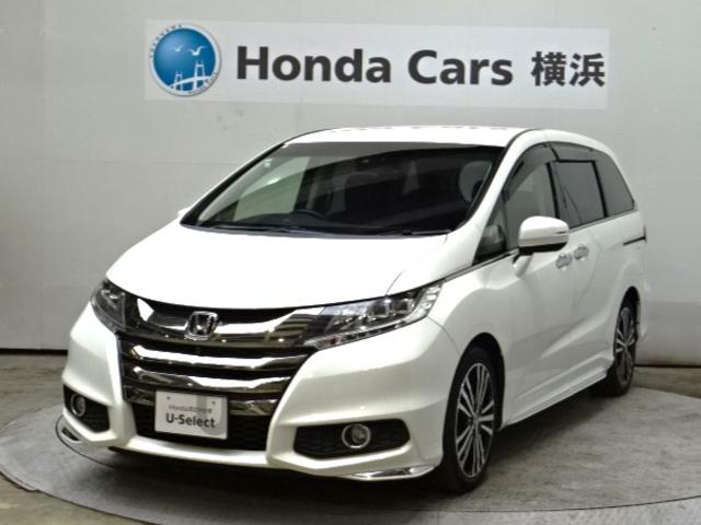 ۥ ǥå ֥롼ȡإۥ󥷥󥰥ɥХ󥹥ɥѥå͡꡼ʥ