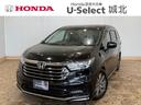 ホンダ オデッセイ アブソルート　１０インチプレミアムインターナ...