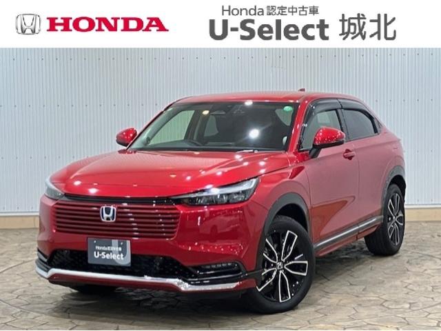  塧ȣţ֣ڡۥͥȥǥץ쥤ɥ쥳֥饤ɥݥåȥե᡼ 0500172A30251106W008 1