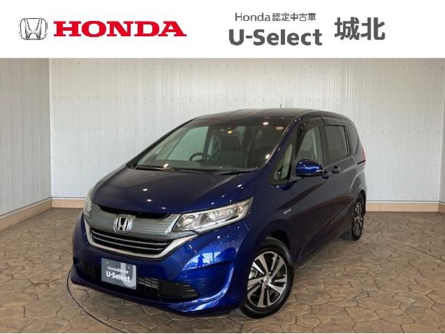 ۥ ե꡼ɡܥϥ֥å ϥ֥åɣţء꡼ʥӡۥ󥷥󥰡ɥ쥳