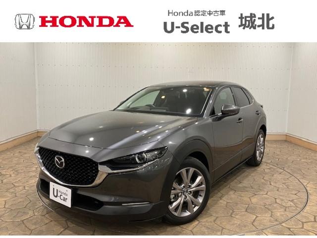 bw|RO(}c_) wckpbP[W@RUO°Z[teBpbP[W@[ir@XeAOq[^[@hR@U[@p[AQ[g@crb@irsu@h~u@kdcwbh@^[{@dsbt@`ar@obNJ@pXe Îԉ摜