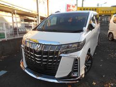 アルファード 2.5S Cパッケージ 純正ナビ TV ルーフモニター バックモニター モデリスタエアロ プッシュスタート Wパワースライドドア パワーバックドア ETC2.0 中古車画像