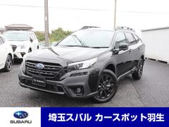 Х롡쥬ȥХå󥿥ءݥ֥쥤ţءţԣã