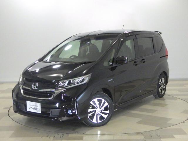 ե꡼ɥϥ֥å ϥ֥åɡǥۥ󥷥󥰡̤ý֡ʥ 0501543A30251109W002 1