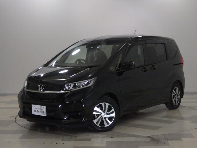 ե꡼ ǡʥӡξ¦ȥ饤ɡȥҡ 0501543A30251211W003 1