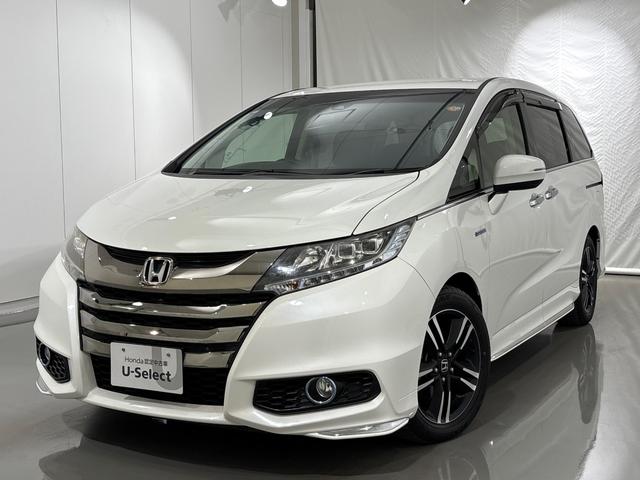 ۥ ǥåϥ֥å ϥ֥åɥ֥롼ȡۥ󥷥󥰣ţإѥå꡼ʥӡե륻ԣ