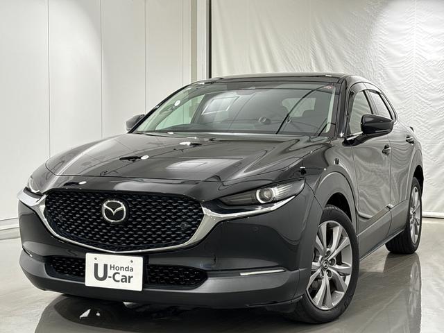 ҿֵˤнΤż֤Ǥ ףļ֡ͷڸ֥졼ǧż֡ե륻ԣ֡꡼ʥ 1